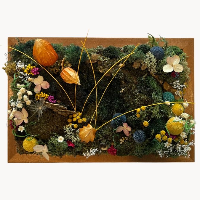 In My Dreams I Fly — ANGELA JUSTICE | FORESTHETIC